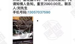 最新网友爆料视频大全集,最新网友爆料视频大全集深度解析